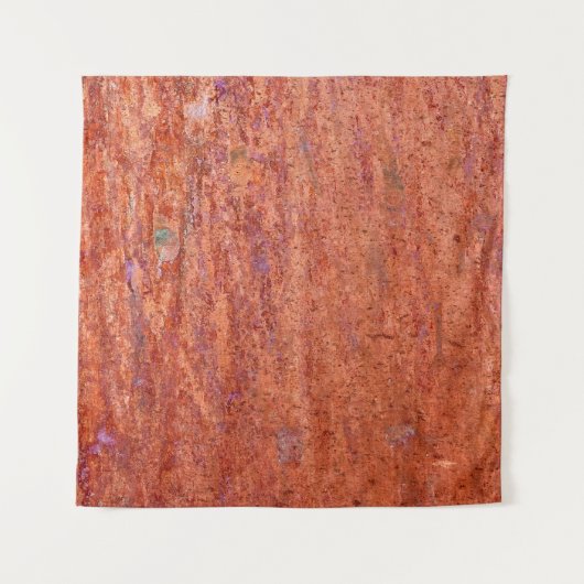 錆びた金属プレートが腐食性要約でエッチングされ、年代 タペストリー (正面)