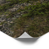 錆び擦り切れたて – いかり上陸 ポスター (角)