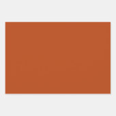 錆無地の色 |クラシック |エレガントトレンディー ラッピングペーパーシート (正面3)