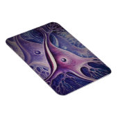 錐体ニューロン マグネット (右側)