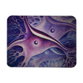 錐体ニューロン マグネット (横)