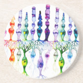 錐体細胞かん体細胞と網膜の双極神経 コースター (正面)