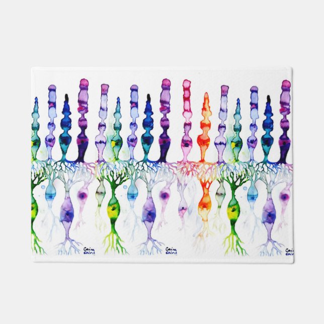 錐体細胞かん体細胞と網膜の双極神経 ドアマット (正面)