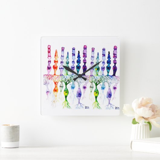 錐体細胞と網膜双極神経線 スクエア壁時計 (ホーム)