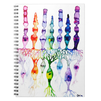 錐体細胞と網膜双極神経線 ノートブック