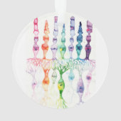 錐体細胞棒細胞と網膜の双極ニューロン オーナメント (裏面)