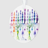 錐体細胞棒細胞と網膜の双極ニューロン オーナメント (正面)