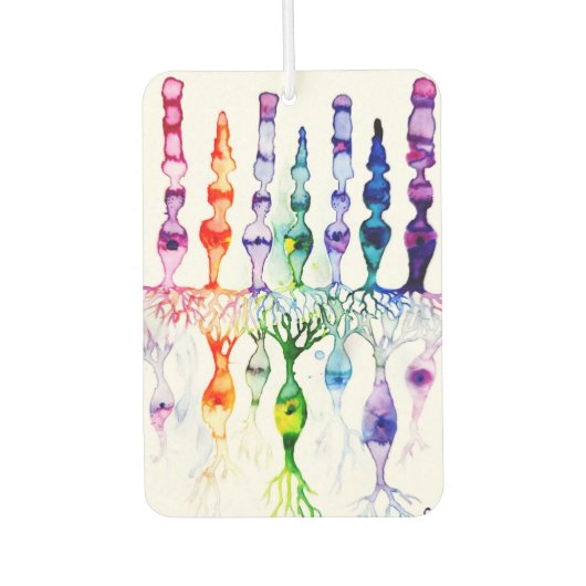 錐体細胞棒細胞と網膜の双極ニューロン カーエアーフレッシュナー (正面)