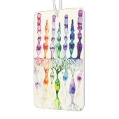 錐体細胞棒細胞と網膜の双極ニューロン カーエアーフレッシュナー (左)