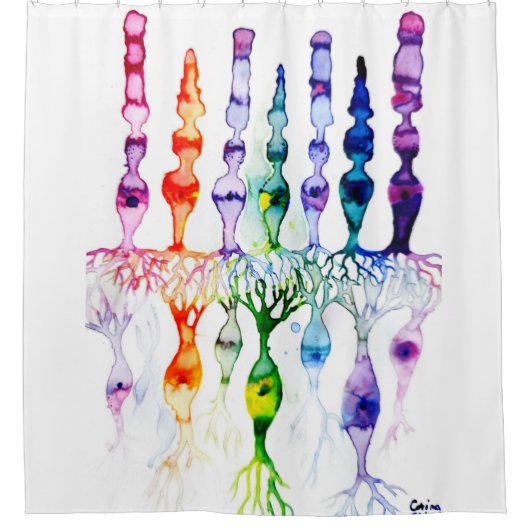 錐体細胞棒細胞と網膜の双極ニューロン シャワーカーテン (正面)