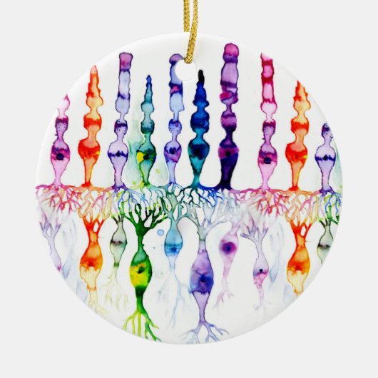 錐体細胞棒細胞と網膜の双極性ニューロン セラミックオーナメント (正面)