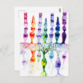 錐体細胞棒細胞と網膜の双極性ニューロン ポストカード (正面/裏面)