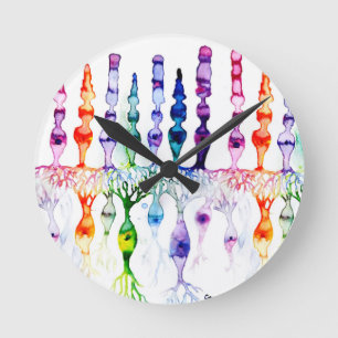 錐体細胞棒細胞と網膜の双極性ニューロン ラウンド壁時計