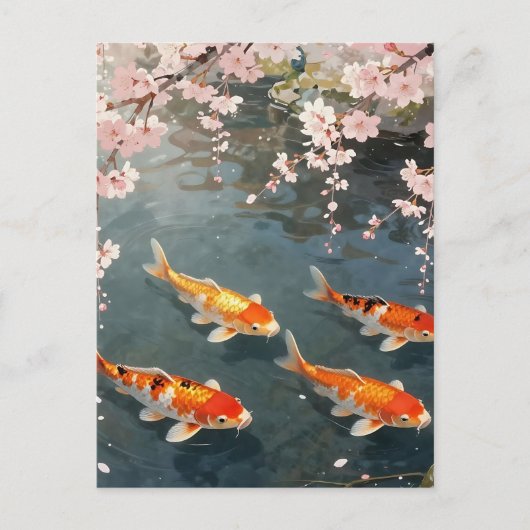 錦鯉の池 桜の静寂 ポストカード (正面)