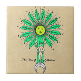 錬金術のHermesの木 タイル