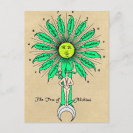 錬金術マンダラのヘルメスツリー ポストカード