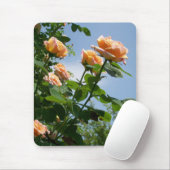 「錬金術師」バラマウスパッド マウスパッド (マウス)