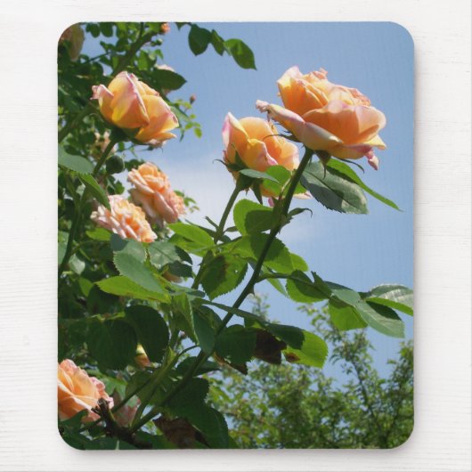 「錬金術師」バラマウスパッド マウスパッド (正面)