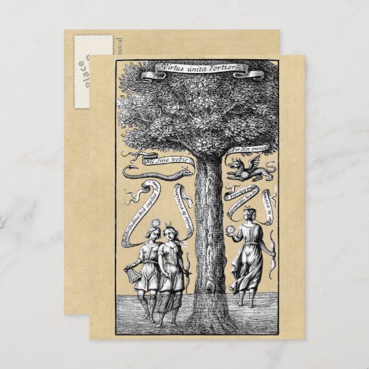 錬金術統一されたの対照木 ポストカード (正面/裏面)