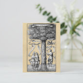 錬金術統一されたの対照木 ポストカード (スタンド正面)