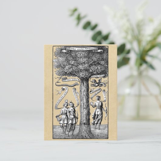 錬金術統一されたの対照木 ポストカード (スタンド正面)