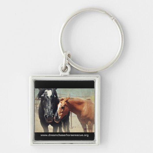 錯覚及び突進 キーホルダー (正面)