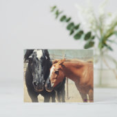 錯覚及び突進 ポストカード (スタンド正面)