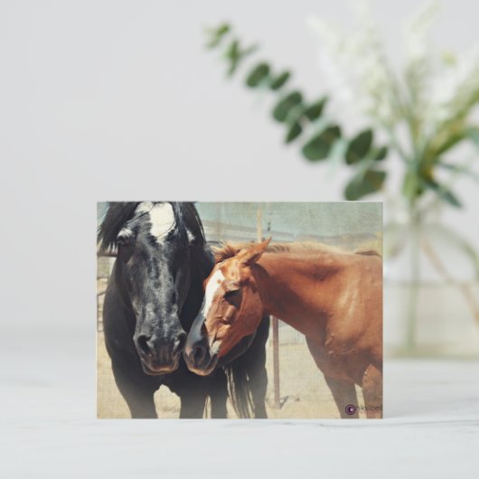 錯覚及び突進 ポストカード (スタンド正面)