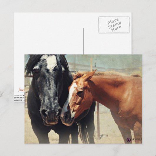 錯覚及び突進 ポストカード (正面/裏面)