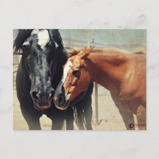 錯覚及び突進 ポストカード