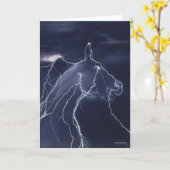 錯覚 カード (黄色い花)