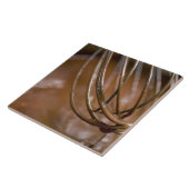 鍋のチョコレートを溶かすために払うこと タイル (側面)