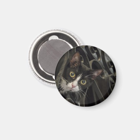 鍛錬鉄柵を突き抜けるタキシード猫 マグネット (正面/裏面)