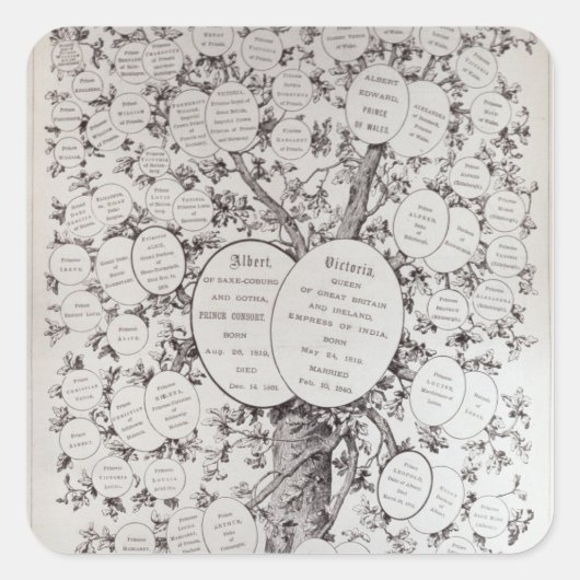 鍵から系統樹 スクエアシール (正面)