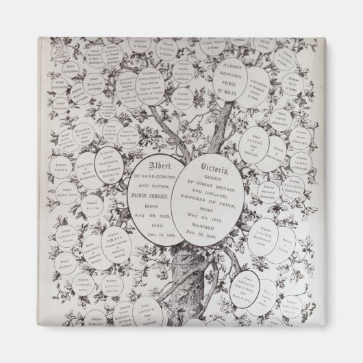 鍵から系統樹 マグネット (正面)