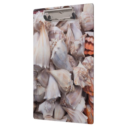 鍵ウェスト、シーシェルズ クリップボード (左)