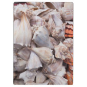 鍵ウェスト、シーシェルズ クリップボード (裏面)