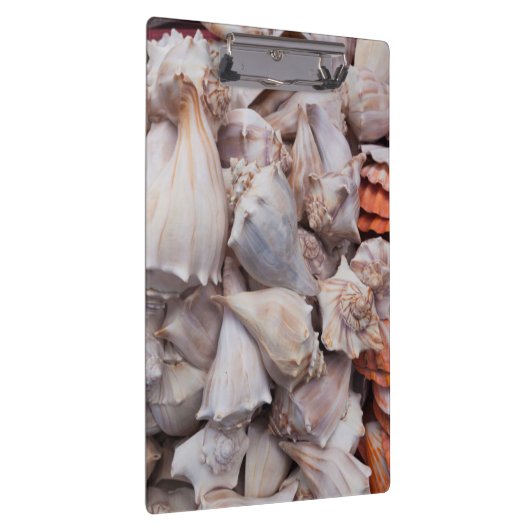 鍵ウェスト、シーシェルズ クリップボード (右)