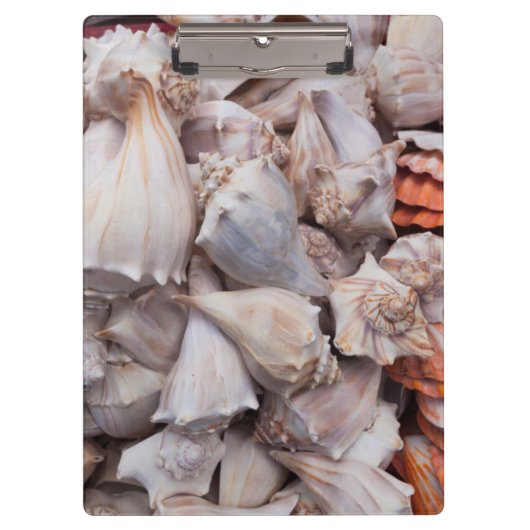 鍵ウェスト、シーシェルズ クリップボード (正面)