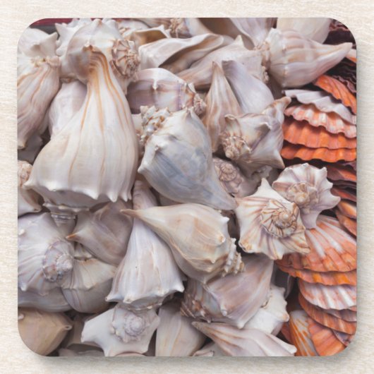 鍵ウェスト、シーシェルズ コースター (正面)