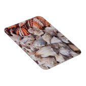 鍵ウェスト、シーシェル マグネット (右側)