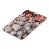 鍵ウェスト、シーシェル マグネット (左側)