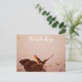 鍵ウエストショアバードサンセットロックスフロリダ鍵 ポストカード (スタンド正面)