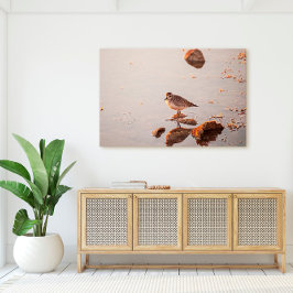 鍵ウエストショアバード反射フロリダ鍵 キャンバスプリント