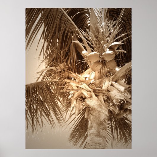 鍵ウエストパームセピア ポスター (正面)