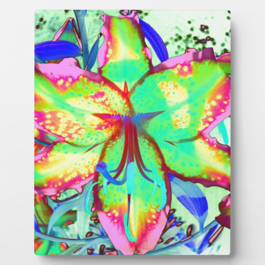 鍵ウエストリリー フォトプラーク (正面)