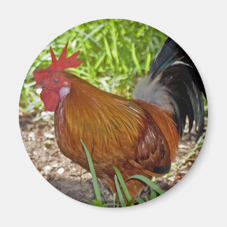 鍵ウエストルースター マグネット
