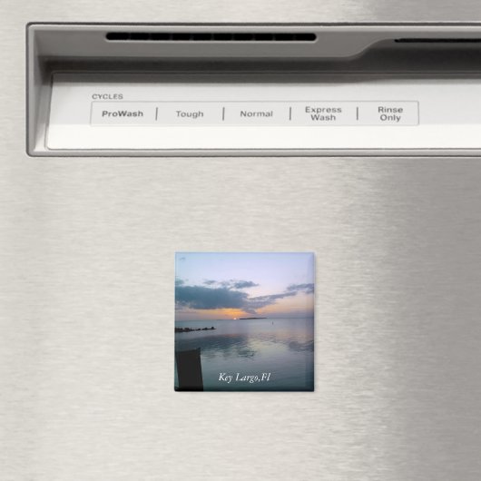 鍵ラルゴ マグネット (インサイチュ (食洗機))