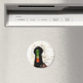 鍵穴を通って マグネット (インサイチュ (食洗機))