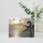 鍵西,フロリダ ポストカード (スタンド正面)